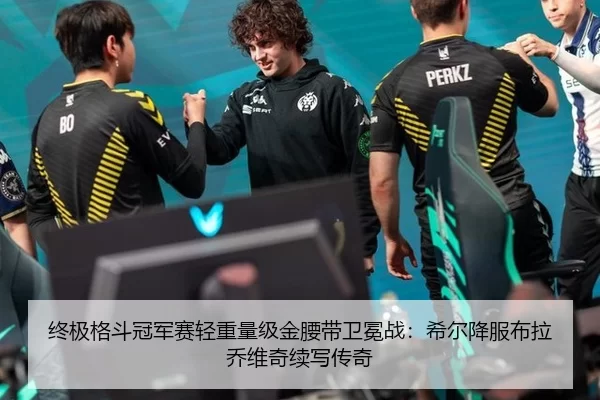 终极格斗冠军赛轻重量级金腰带卫冕战：希尔降服布拉乔维奇续写传奇
